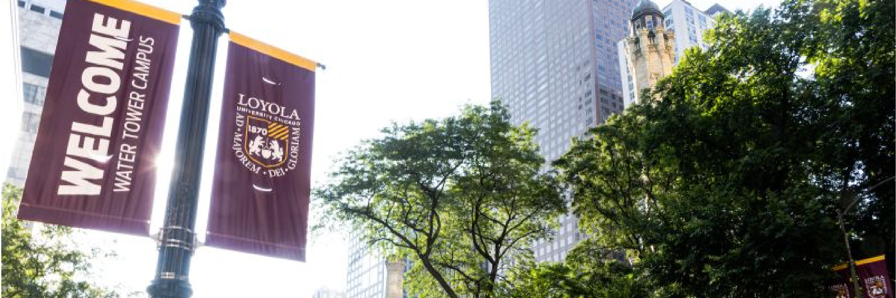 Banners on the street at the Water Tower Campus, Loyola University Chicago